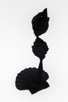https://mail.huberhuber.com/files/gimgs/th-560_Souvenir_Muscheln_a_huber_huber.jpg