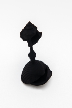 https://mail.huberhuber.com/files/gimgs/th-560_Souvenir_Muscheln_b_huber_huber.jpg