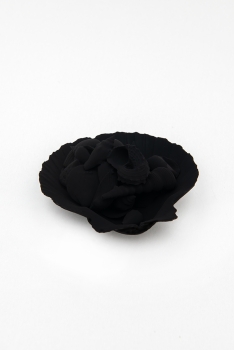 https://mail.huberhuber.com/files/gimgs/th-560_Souvenir_kleine_Muscheln_huber_huber.jpg
