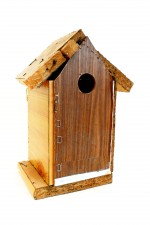 https://mail.huberhuber.com/files/gimgs/th-58_58_vogelhaus10p1080046.jpg