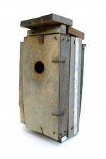 https://mail.huberhuber.com/files/gimgs/th-58_58_vogelhaus5p1070954.jpg
