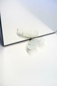 https://mail.huberhuber.com/files/gimgs/th-73_73_schmetterling.jpg